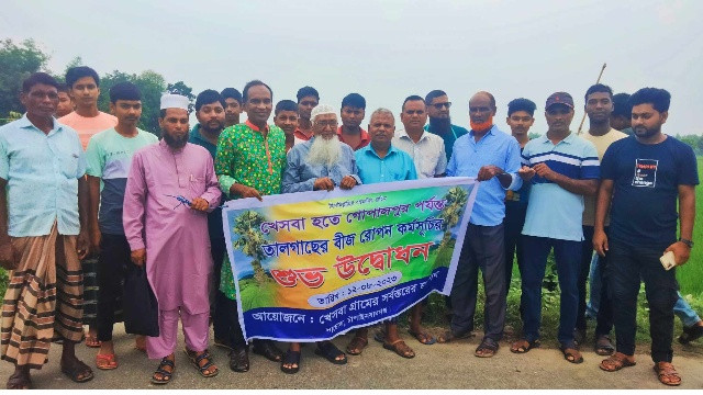 নাচোলে দুইহাজার তালগাছের বীজ রোপণ কর্মসূচির শুভ উদ্বোধন